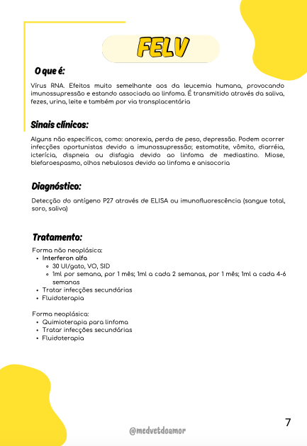 Captura de Tela 2025-10-20 às 20.58.18